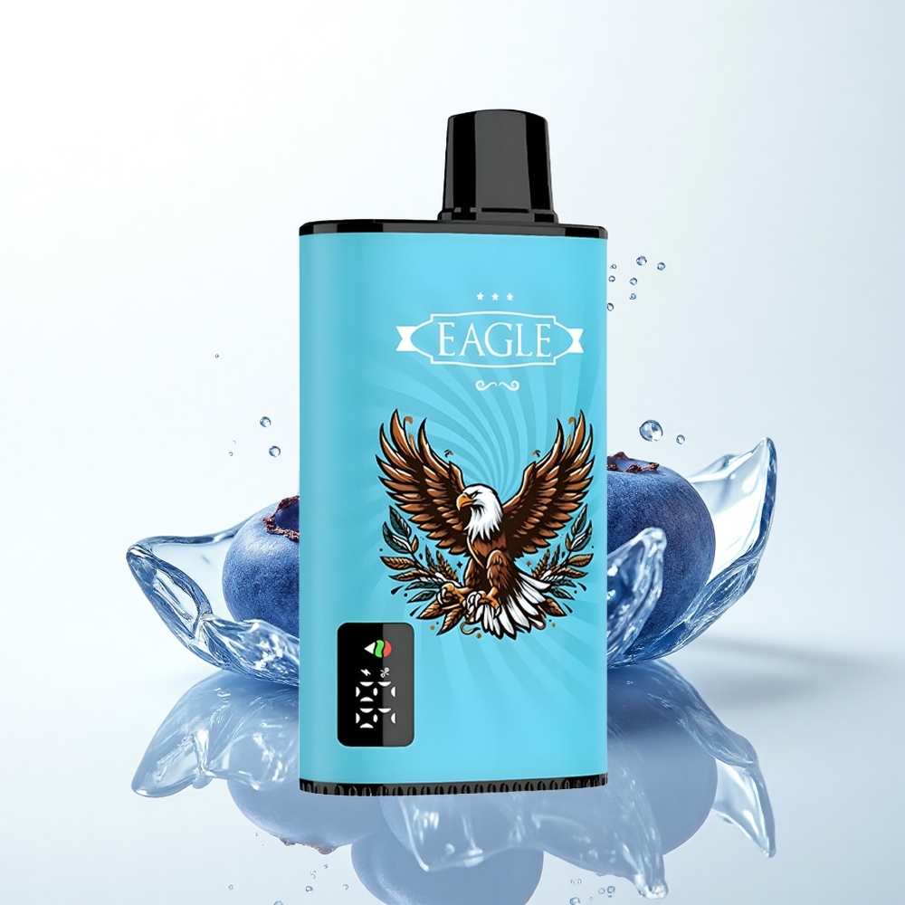 JNR EAGLE Smart 23000 ブルーベリーアイス メッシュコイル 750mAh 25ml