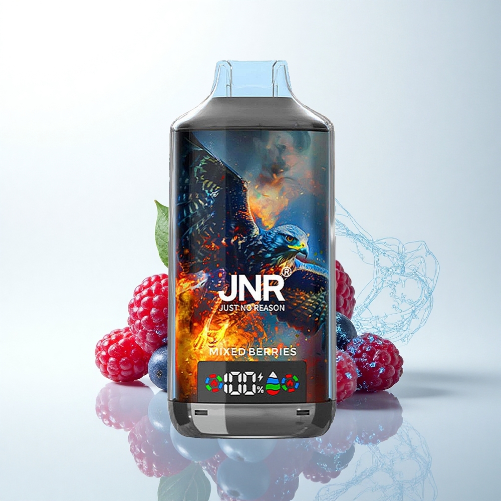JNR Falcon X 18000 ベリーミックス 24ml デュアルメッシュ