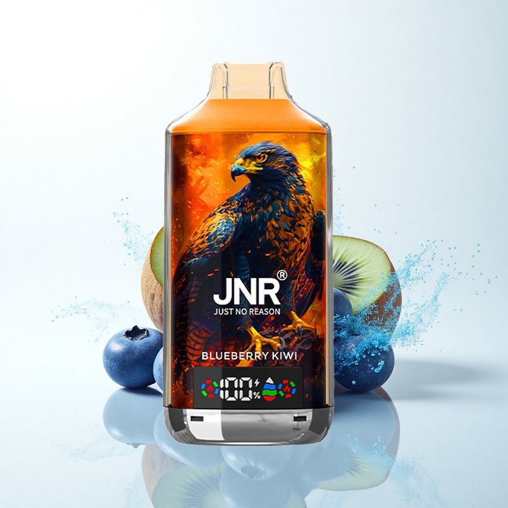 JNR Falcon X 18000 ブルーベリーキウイ 750mAh 24ml デュアルメッシュコイル