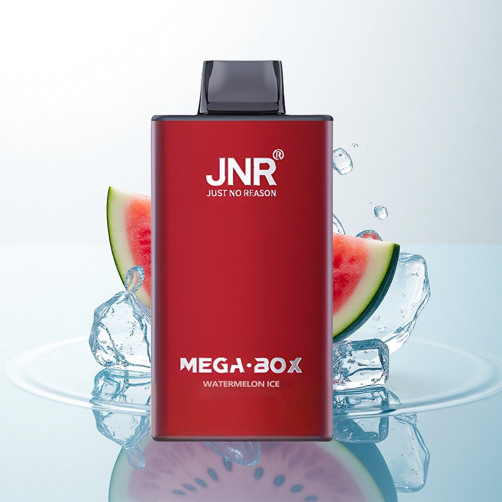 JNR Mega Box 25000 スイカアイス デュアルメッシュコイル 850mAh
