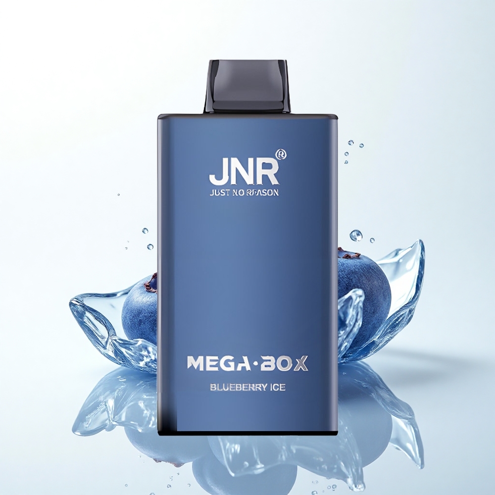 JNR Mega Box 25000 ブルーベリーアイス デュアルメッシュコイル 850mAh