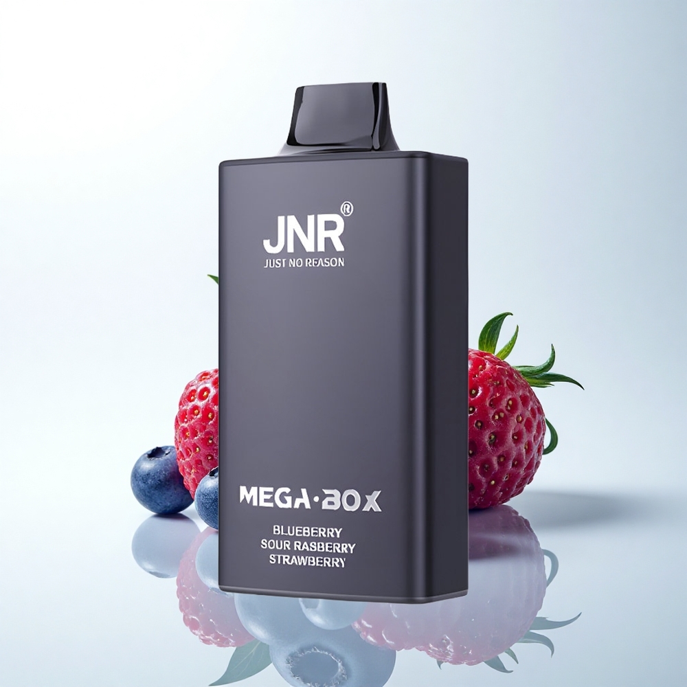JNR Mega Box 25000 ブルーベリーサワーラズベリーストロベリー デュアルメッシュコイル タイプCクイックチャージ 30ml