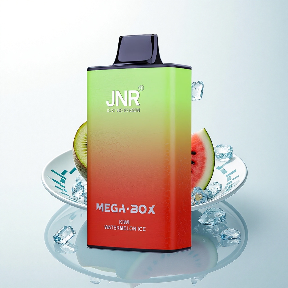 JNR Mega Box 25000 スイカキウイ氷 デュアルメッシュコイル タイプC充電