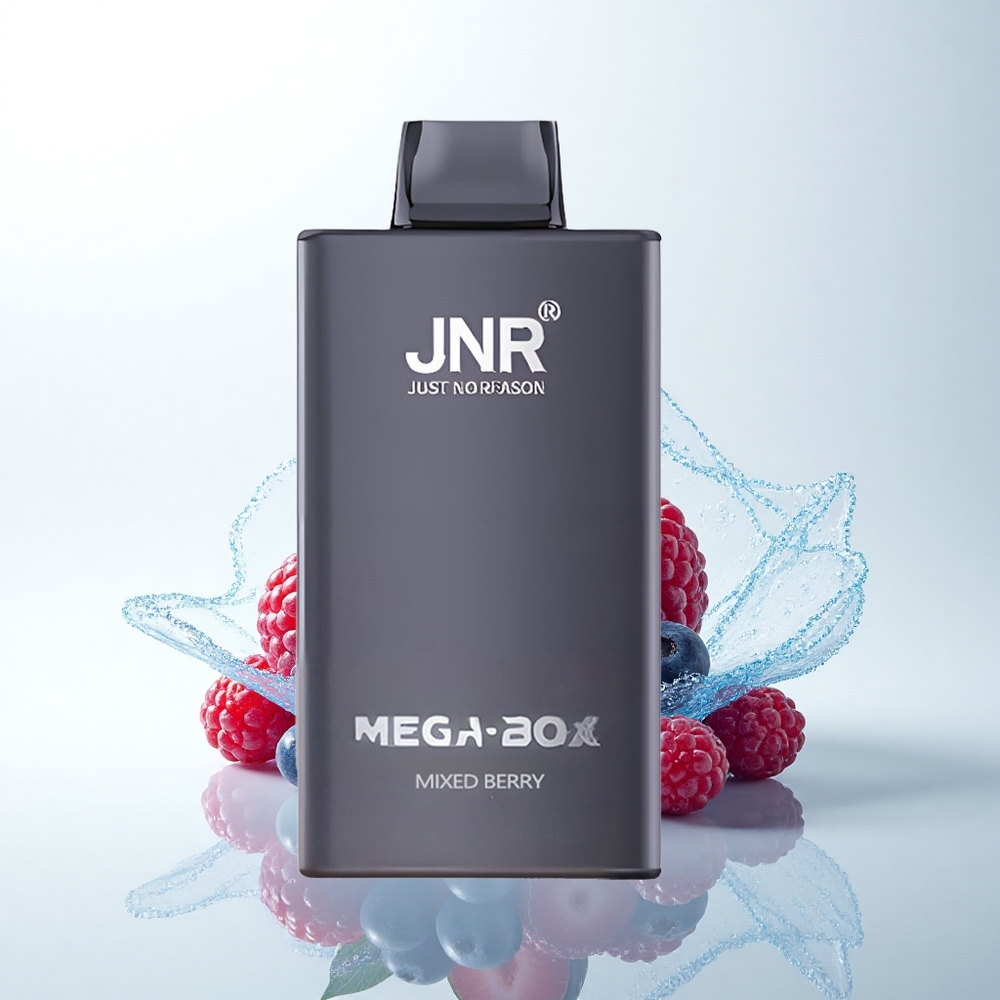 JNR Mega Box 25000 ミックスベリー デュアルメッシュコア & タイプCクイックチャージ