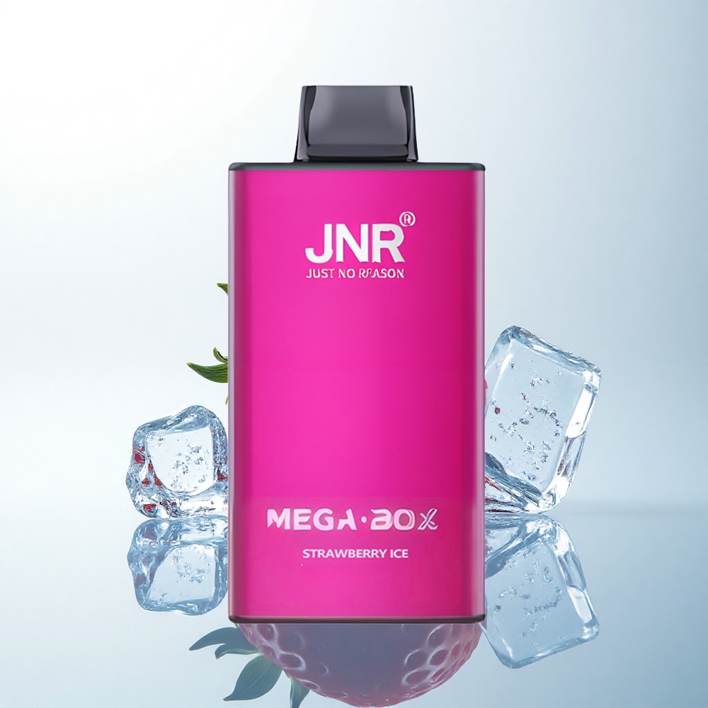 JNR Mega Box 25000 ストロベリーアイス デュアルメッシュコイル タイプCクイックチャージ