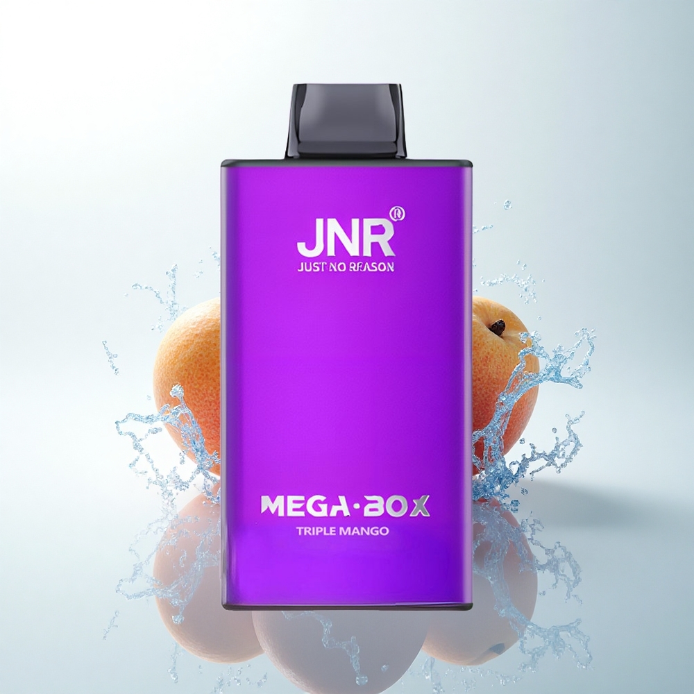 JNR Mega Box 25000 トリプルマンゴー デュアルメッシュコイル タイプC充電