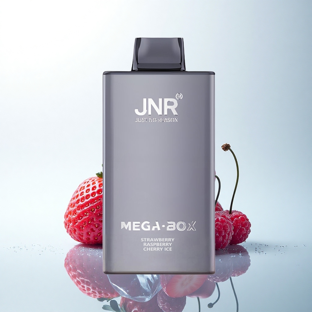 JNR Mega Box 25000 苺ラズベリーチェリーアイス デュアルメッシュコイル タイプCクイックチャージ