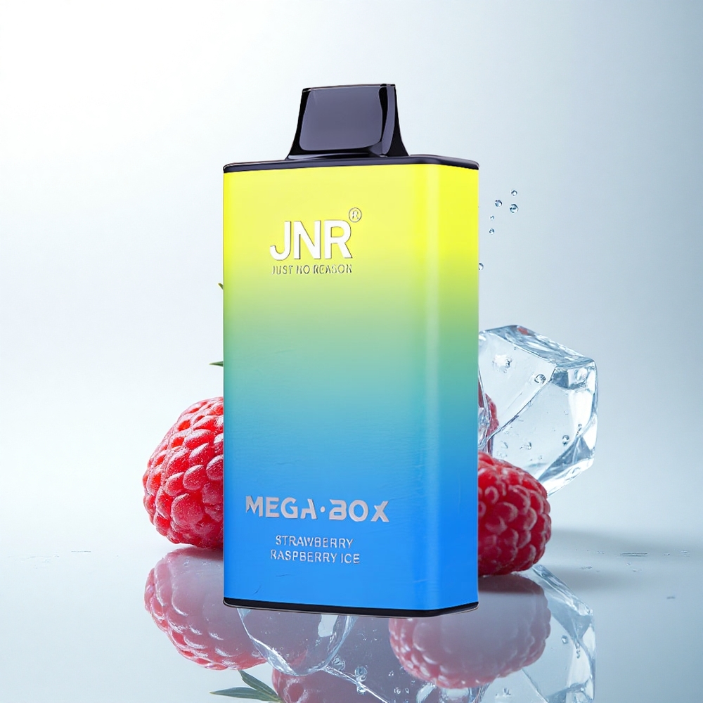 JNR Mega Box 25000 イチゴラズベリーアイス デュアルメッシュコア タイプCクイックチャージ