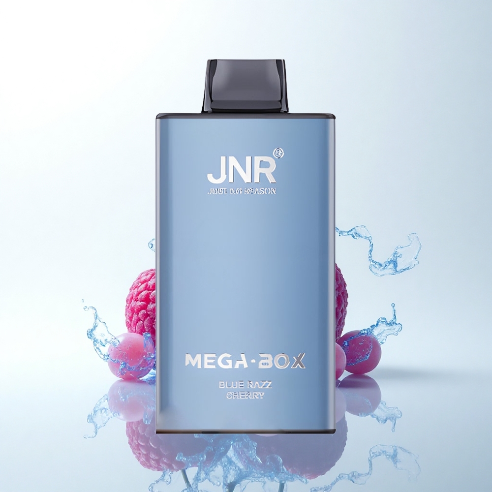 JNR Mega Box 25000 ブルーラズチェリー デュアルメッシュコイル タイプCクイックチャージ