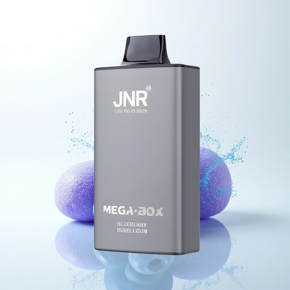 JNR Mega Box 25000 ブルーベリーバブルガム デュアルメッシュコイル クイックチャージ