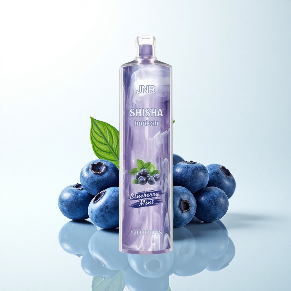 JNR Shisha Hookah 12000 ブルーベリーミント24ml0.6Ohm