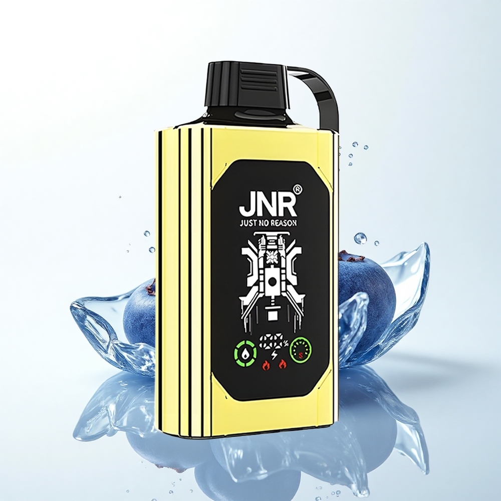 JNR Shisha Hookah Box 20500 ブルーベリーアイス デュアルメッシュコイル タイプCクイックチャージ