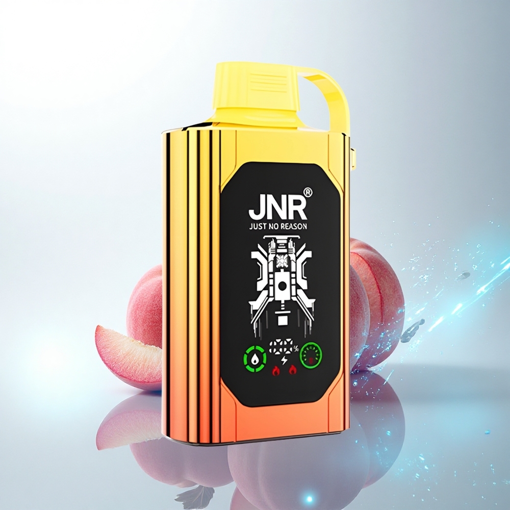 JNR Shisha Hookah Box 20500 ジューシーピーチズ HDデュアルメッシュ タイプC