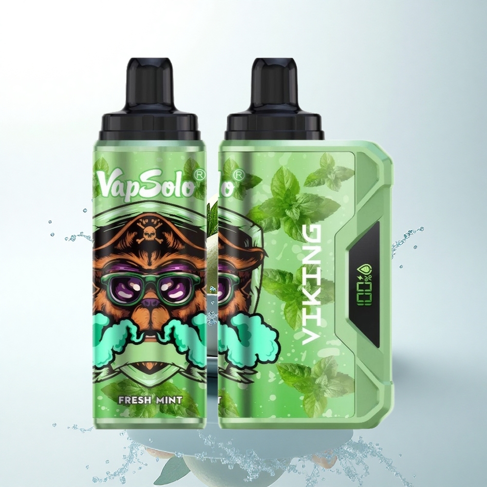 VapSolo VIKING 12000 Puffs フレッシュミント22mlタイプC