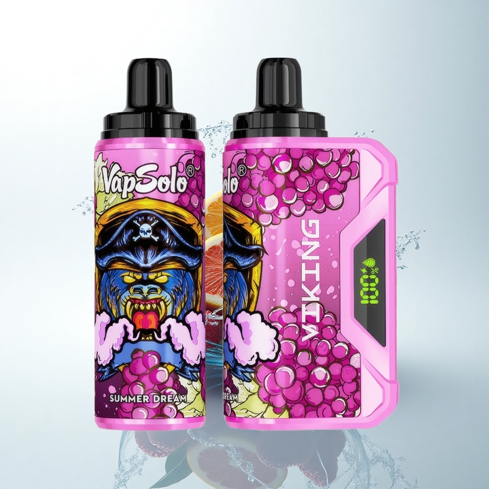 VapSolo VIKING 12000 Puffs 夏の夢 22ml Type-C LED