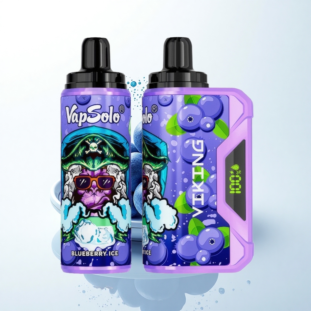 VapSolo VIKING 12000 Puffs ブルーベリー22ml Type-C
