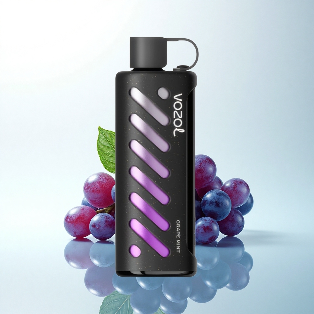 VOZOL Gear Shisha 25000 Puffs グレープミント デュアルメッシュ スマートチップ