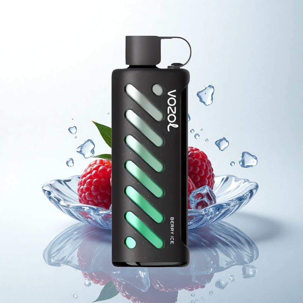 VOZOL Gear Shisha 25000 Puffs ベリーアイスデュアルメッシュ