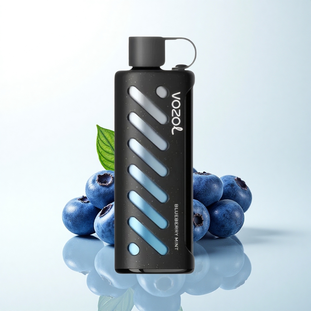 VOZOL Gear Shisha 25000 Puffs ブルーベリーミントデュアルメッシュ