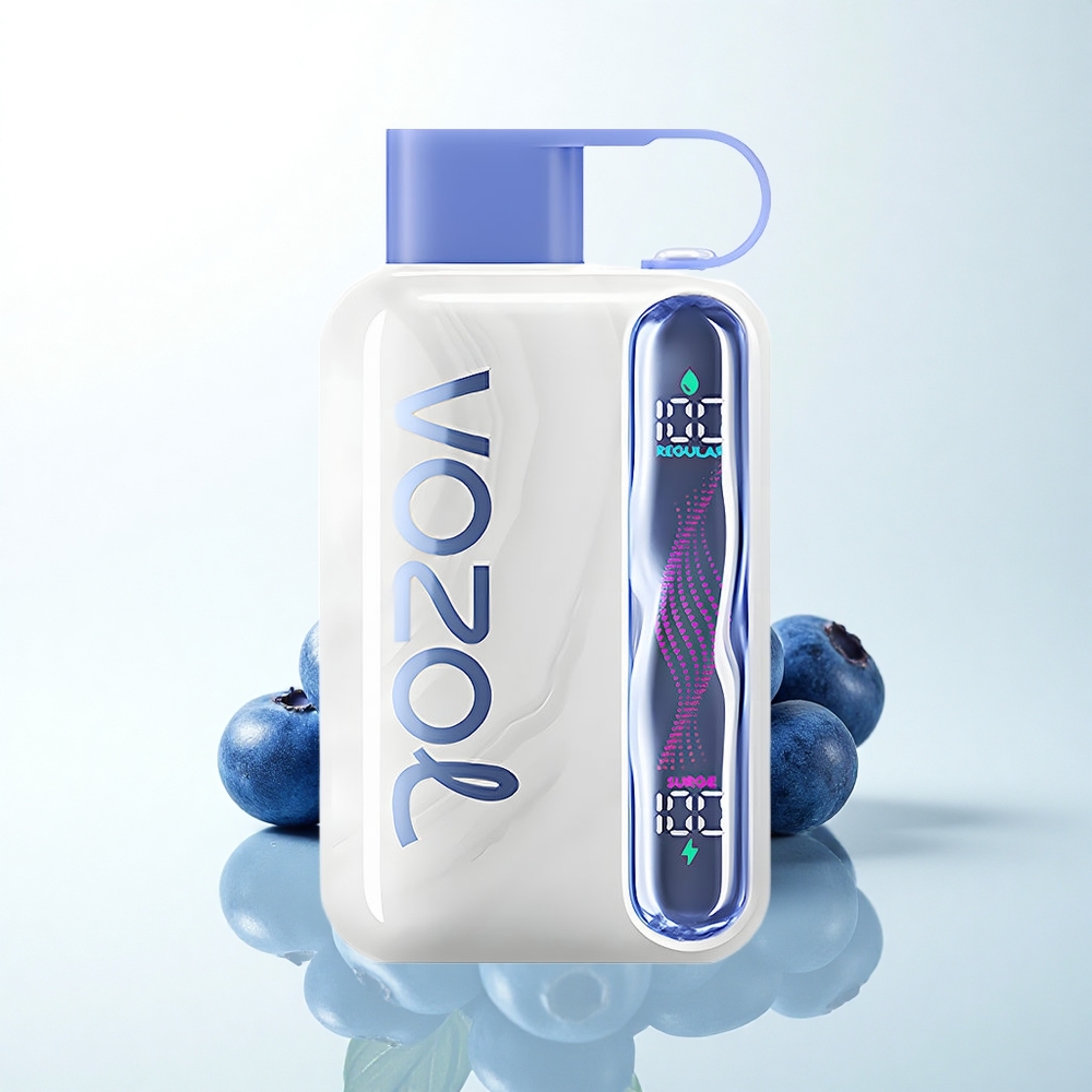 VOZOL STAR 40000 Puffs ブルーベリーミント 1000mAh 20/50mg