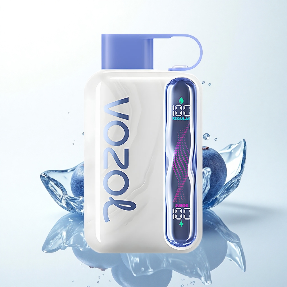 VOZOL STAR 40000 Puffs ブルーベリーアイス 1000mAh 20/50mg