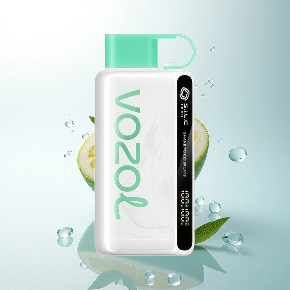 VOZOL STAR 9000/12000 Puffs レモンミントシェイクリサイクル