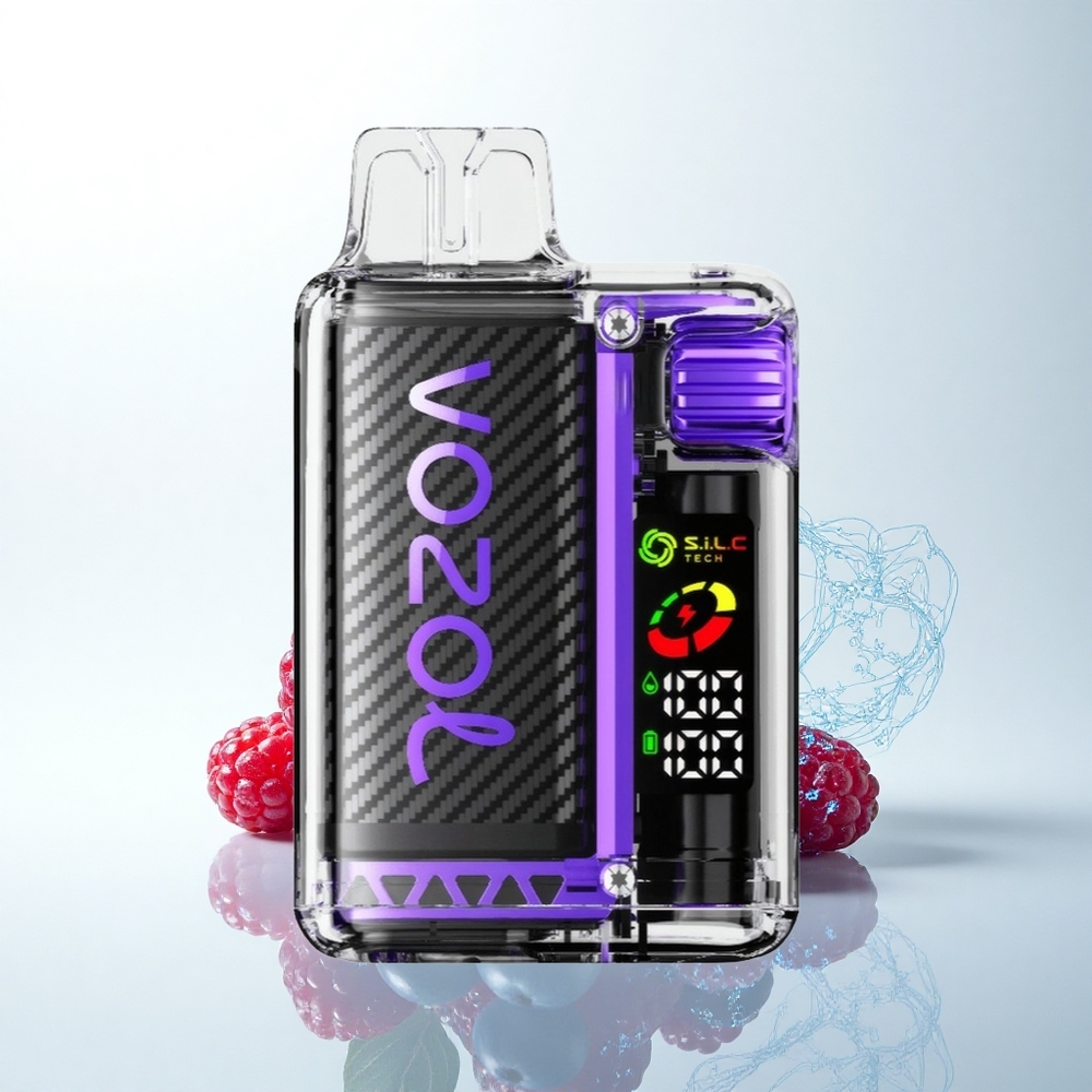 VOZOL Vista 20000 Puffs ミックスベリー650mAhリサイクル可能